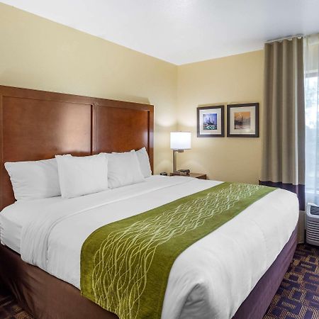 Comfort Inn & Suites North Aurora - Naperville Luaran gambar