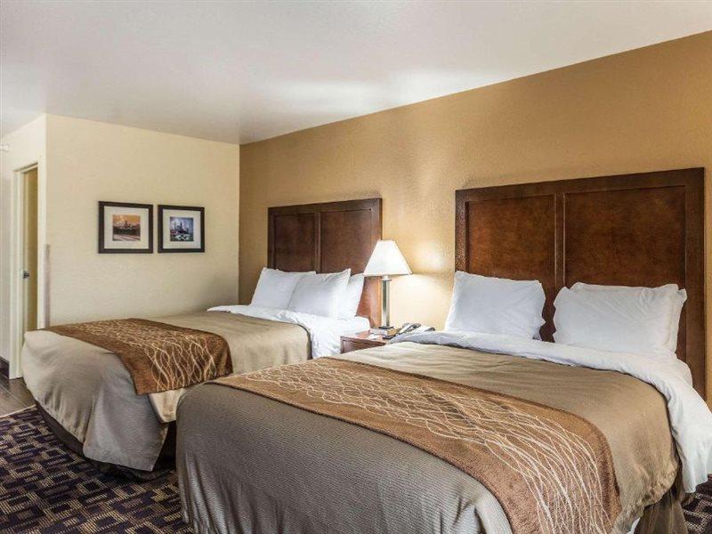 Comfort Inn & Suites North Aurora - Naperville Luaran gambar